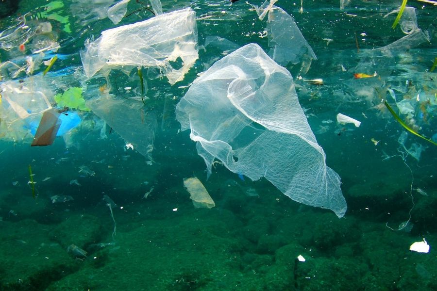 8 million tons of plastic enter the ocean annually, when not recycled